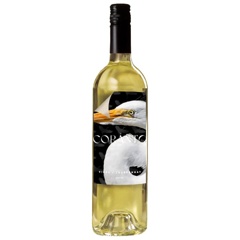 Vina Coranto Blanco – Chardonnay & Macabeo