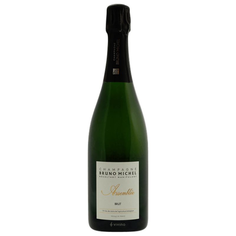 Bruno Michel Champagne bio