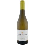 Carpinus Sauvigon Blanc